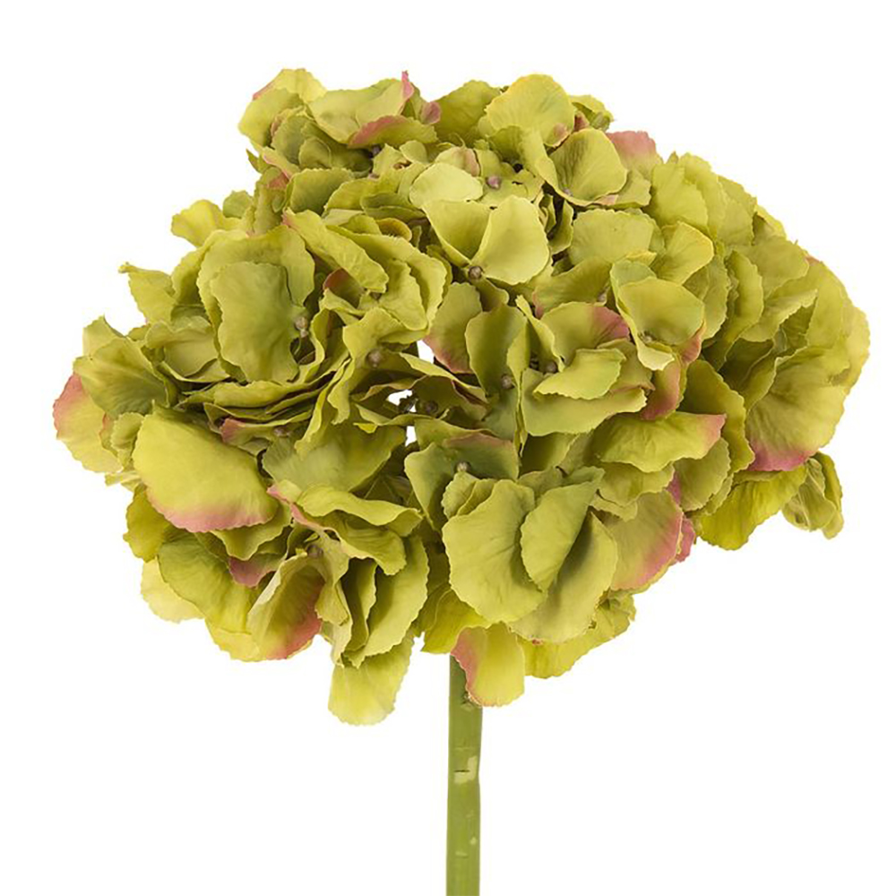 Florabelle - Hydrangea Green 50cm | Peter's of Kensington