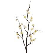 Florabelle - Plum Blossom Spray Cream 85cm