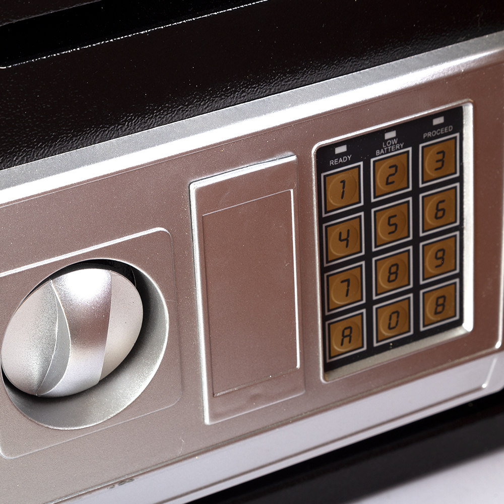 The Original Book Works Electronic Bookcase Safe Large Peter's of