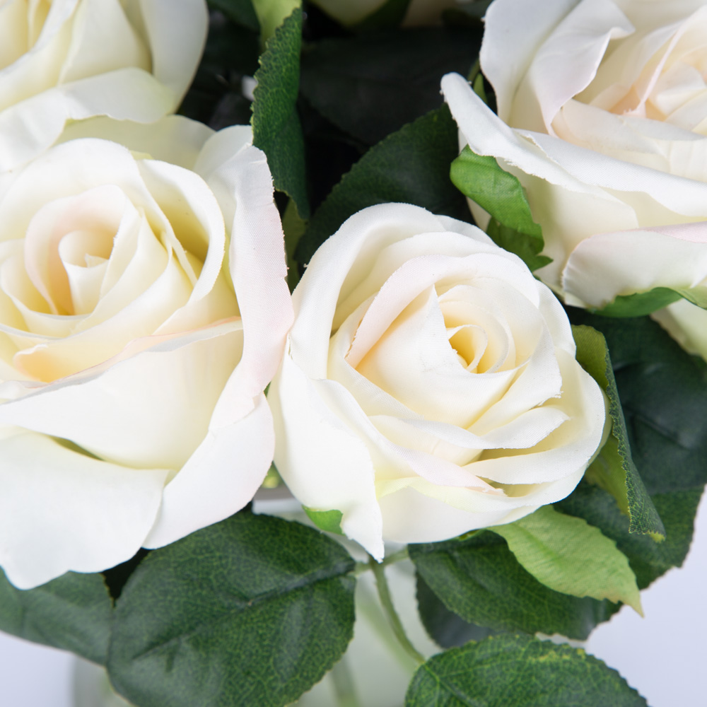 Florabelle - White Rose In Glass Vase | Peter's of Kensington