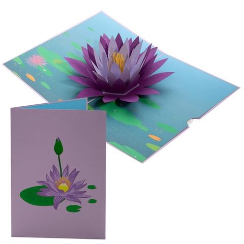 Colorpop - Water Lily Card