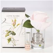 Cote Noire - Rose Bud French Pink Clear Glass w/Silver Crest