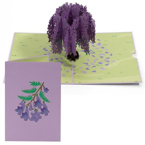 Colorpop - Jacaranda Tree Card