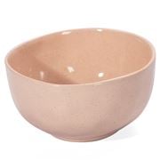 Ecology - Speckle Noodle Bowl Cheesecake 14cm