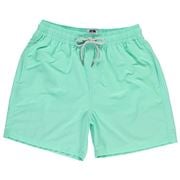Love Brand - Men's Swimming Shorts Mint Green Large