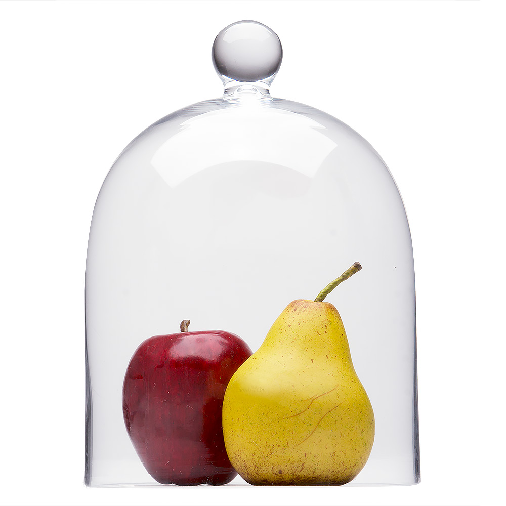 Peters Large Glass Cloche Peter's of Kensington