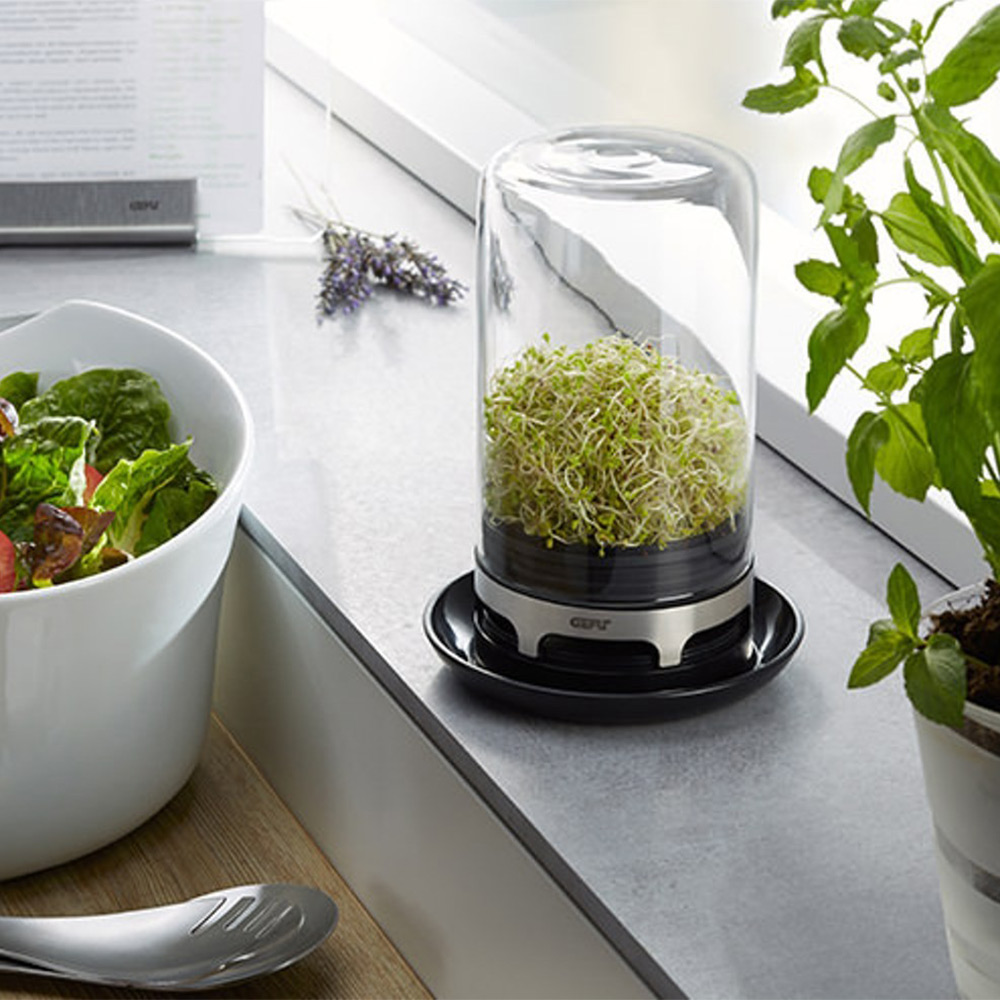 Gefu Bivita Sprouting Jar Peter's of Kensington