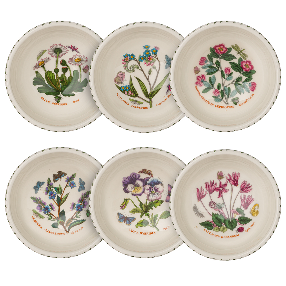 Portmeirion Botanic Garden Fruit Salad Bowl Set 6pce Peter's of