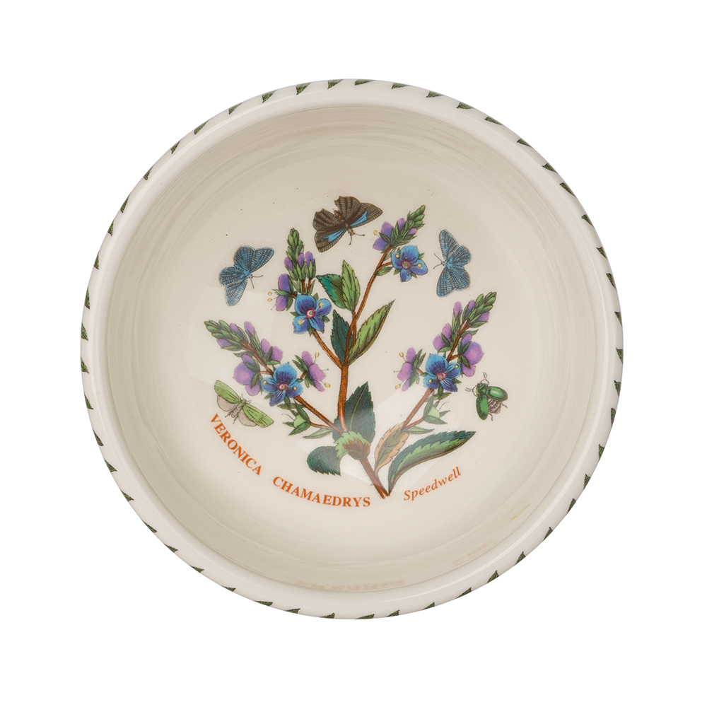 Portmeirion Botanic Garden Fruit Salad Bowl Set 6pce Peter's of