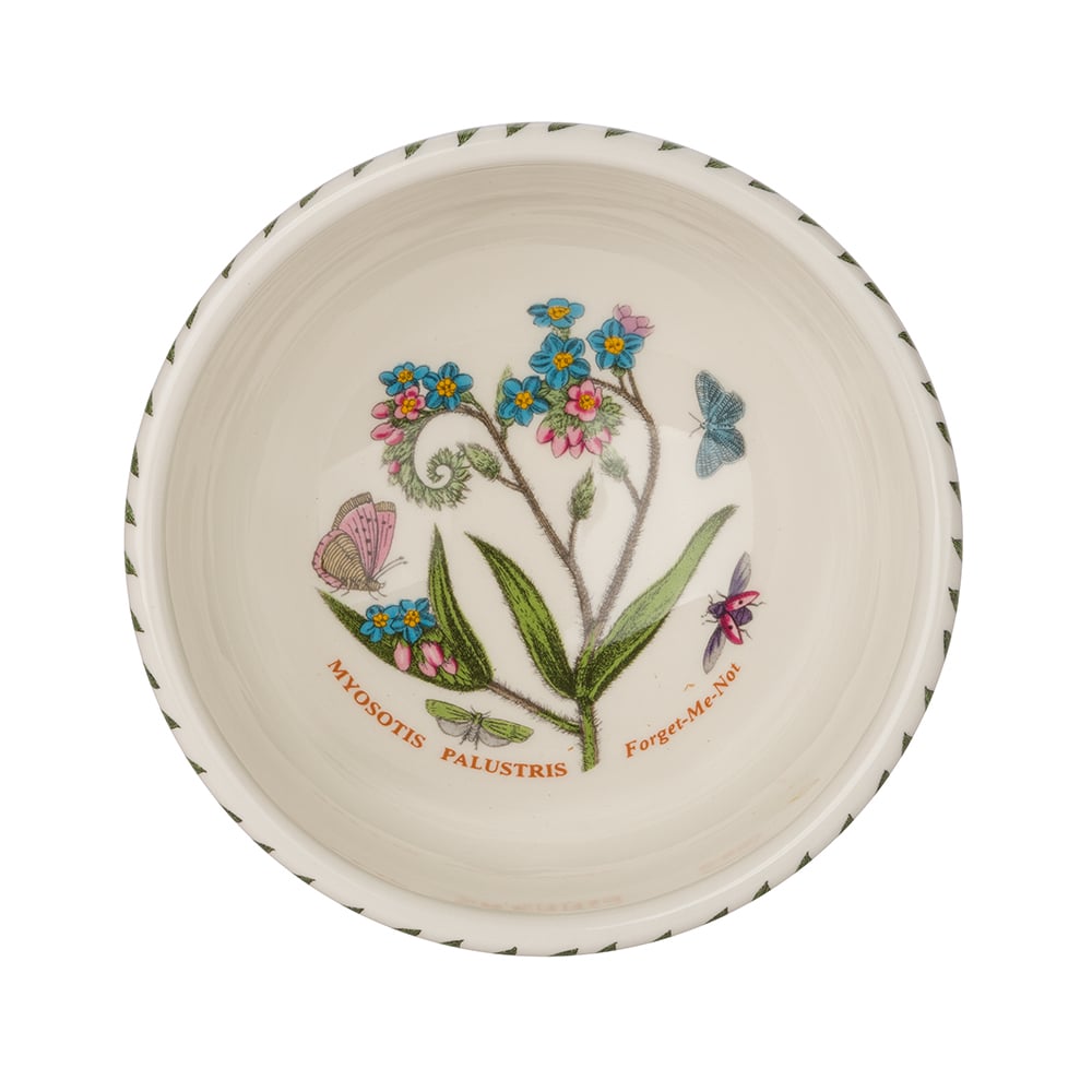 Portmeirion Botanic Garden Fruit Salad Bowl Set 6pce Peter's of