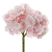 Florabelle - Hydrangea Light Pink 50cm