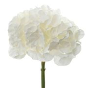 Florabelle - Hydrangea White 50cm