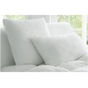 Sheridan - Deluxe Dream Medium Pillow