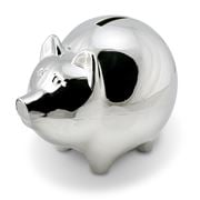 Whitehill - Piggy Bank Money Box