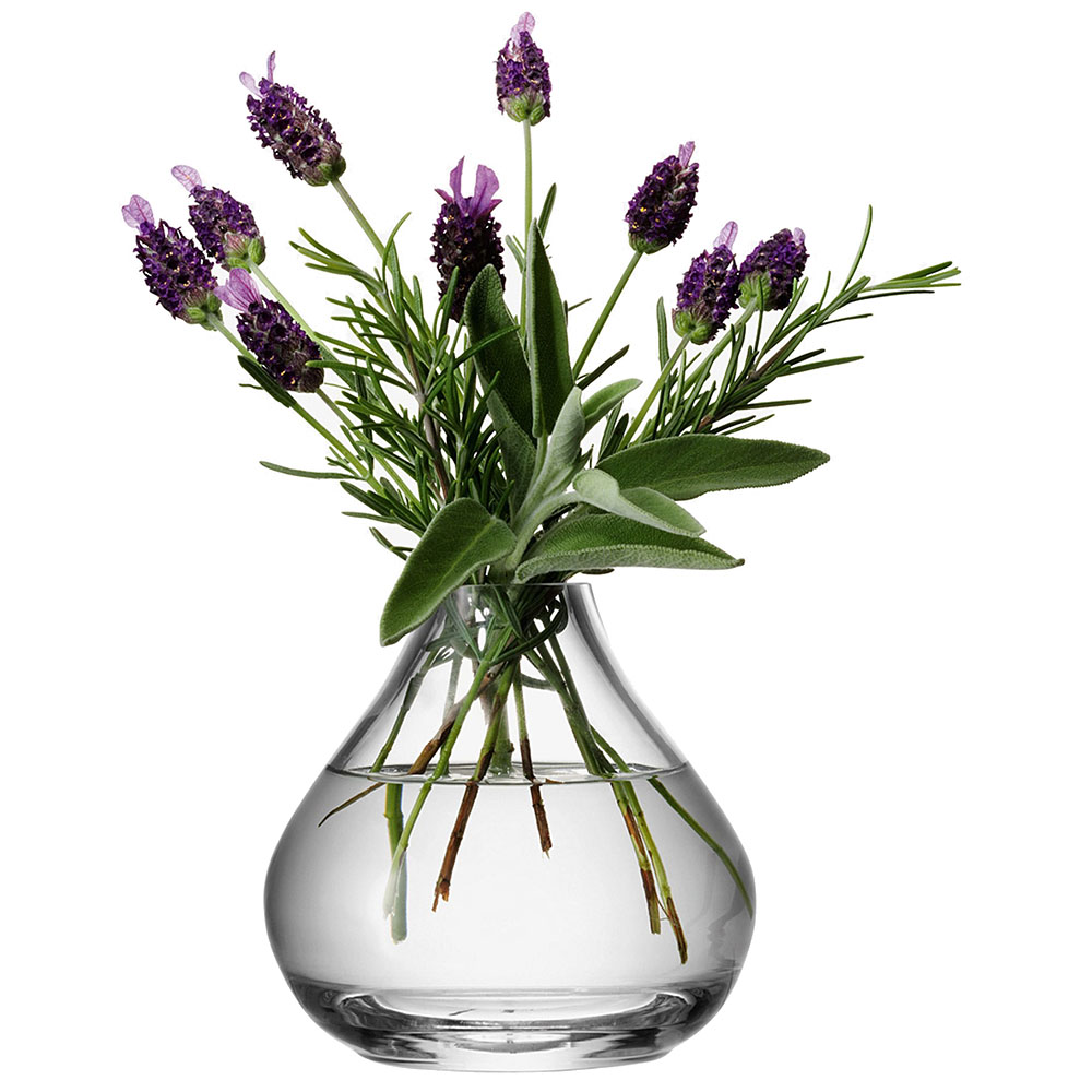 LSA Flower Sprig Vase 11x11.5cm Peter's of Kensington