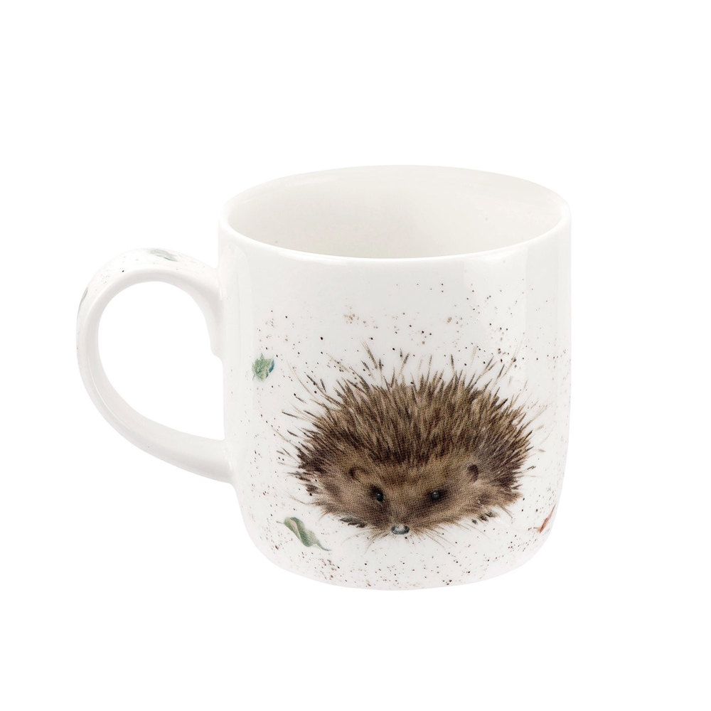 Royal Worcester Wrendale Designs Awakening Hedgehog Mug Peter's of