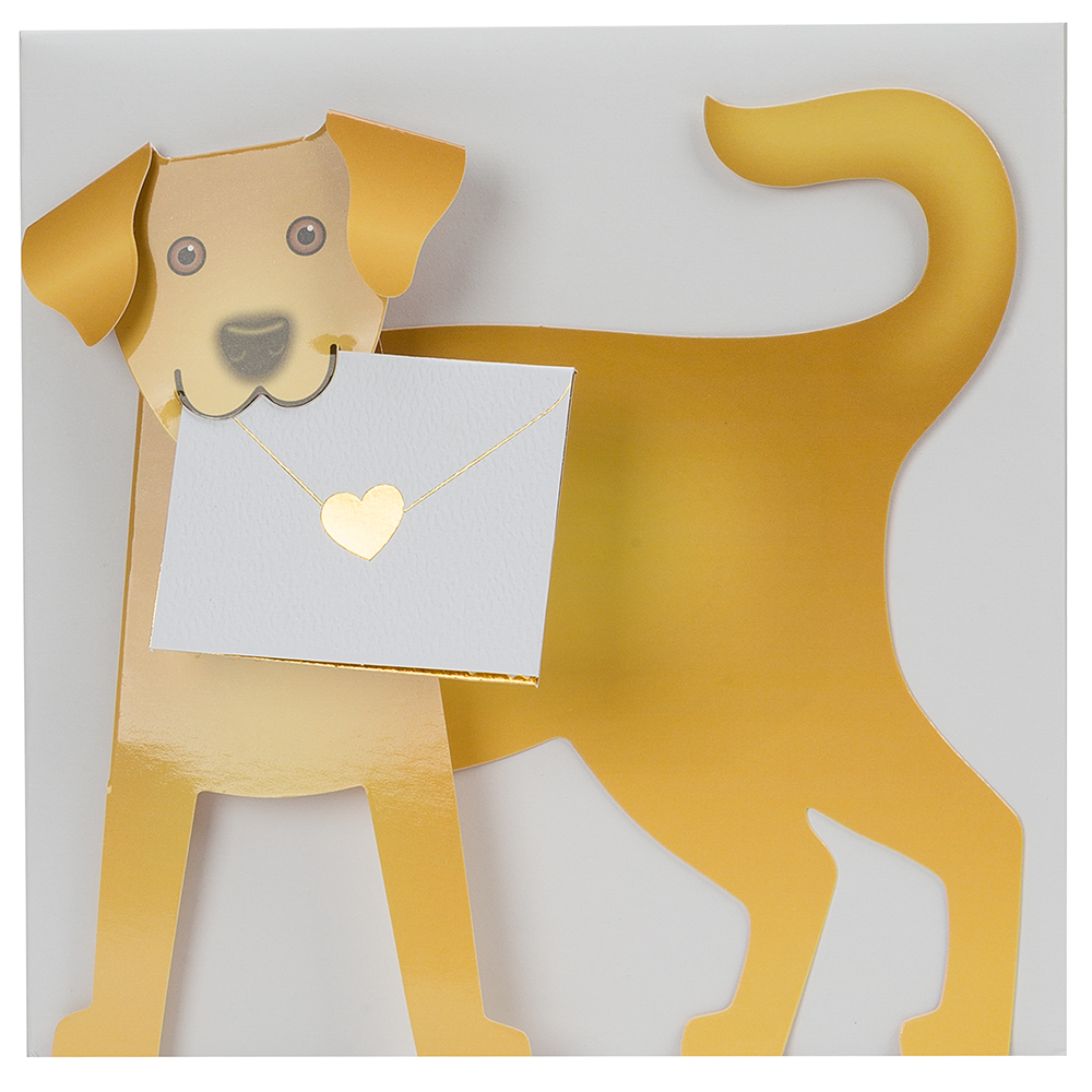 Special Delivery Cards Biscuit FoldOut Card Peter's of Kensington