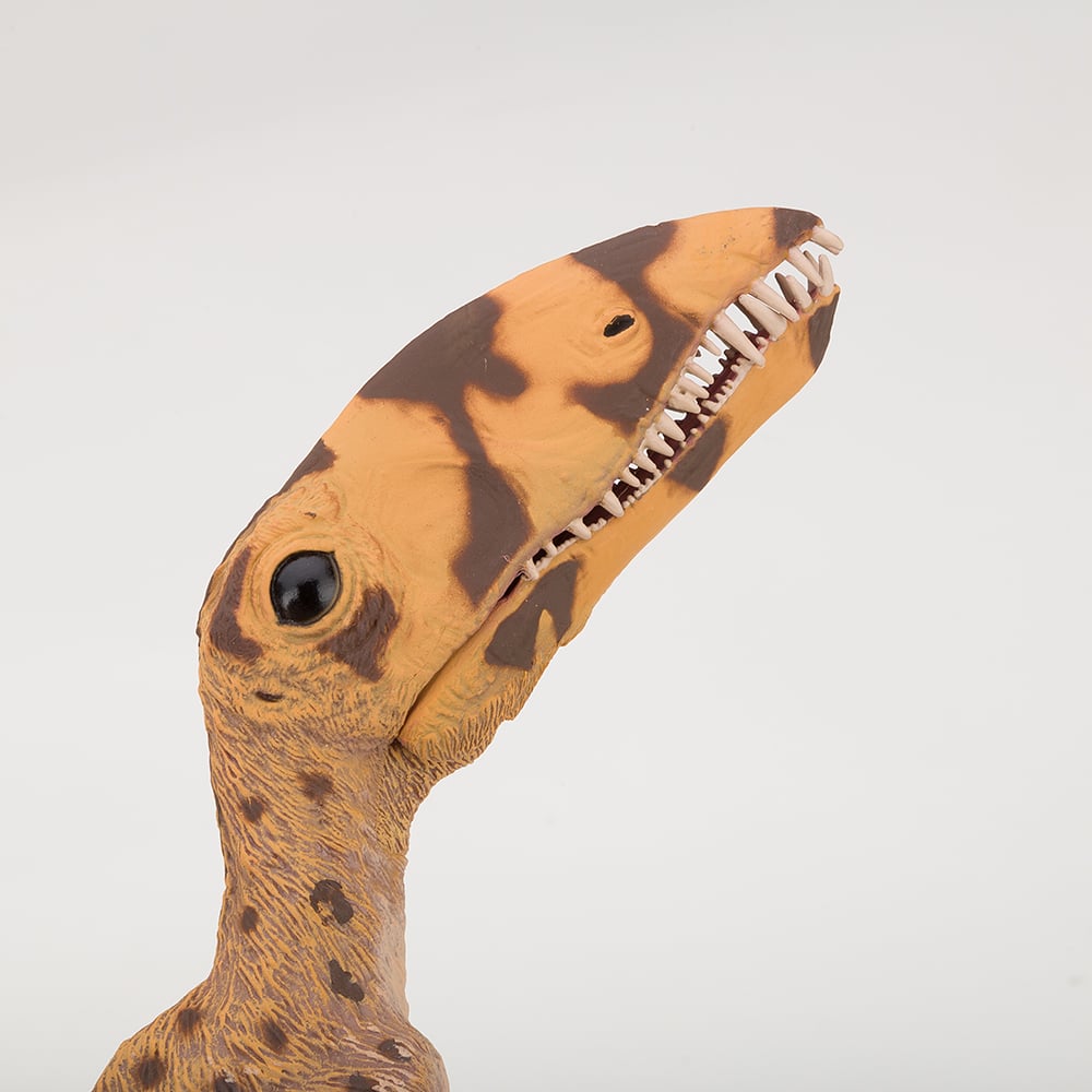 CollectA Dimorphodon Peter's of Kensington