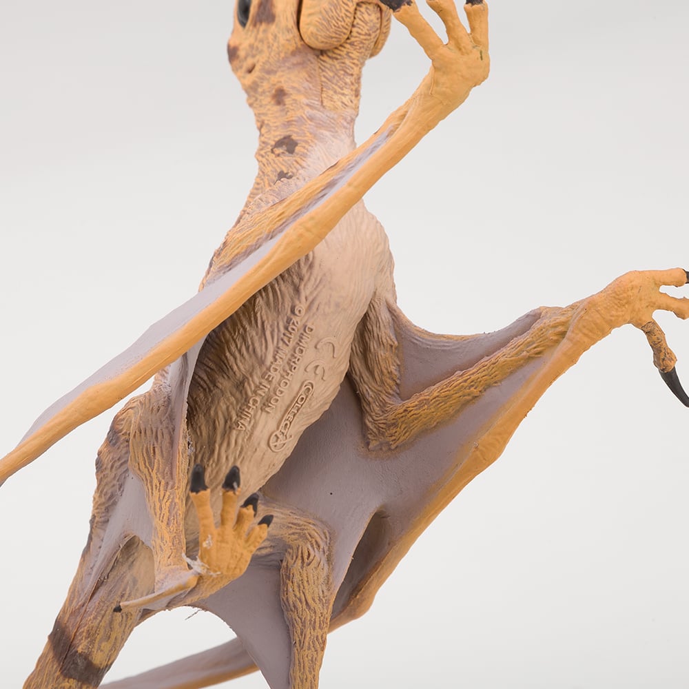 CollectA Dimorphodon Peter's of Kensington