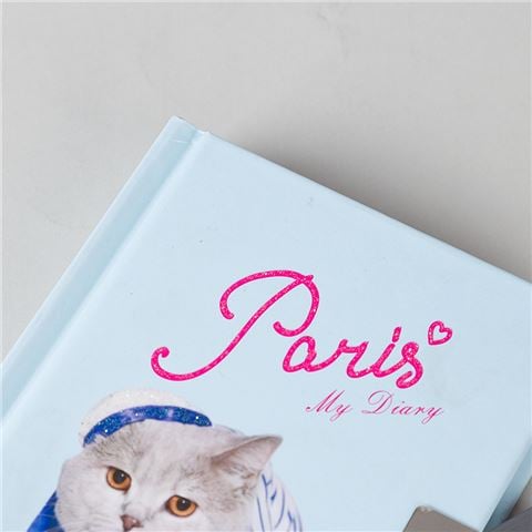 Book - Lock Up Diary Parisian Kitty