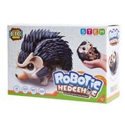 CIC - Robotic Hedgehog