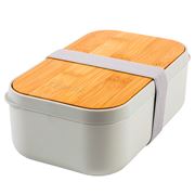 Tempa - Bento Lunch Box Grey