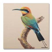 Thirstystone - Rainbow Bird Coaster