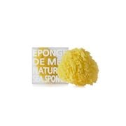 Compagnie de Provence - Natural Sea Sponge Medium Gift Pack