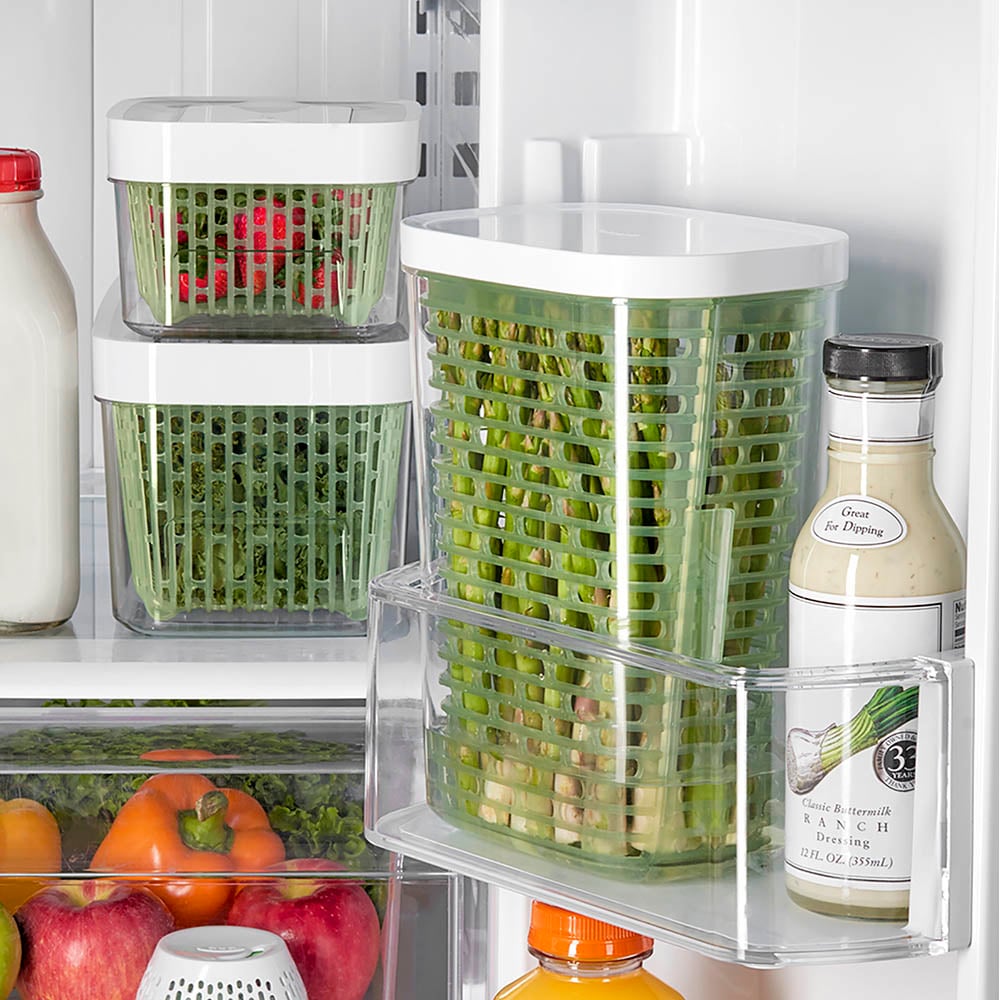 OXO Greensaver Herb Keeper Large Peter's of Kensington