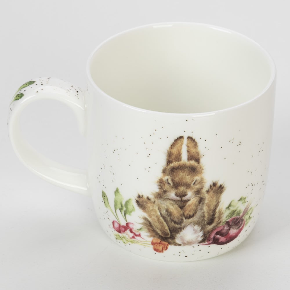 Royal Worcester Wrendale Designs Grow Your Own Mug Peters Of