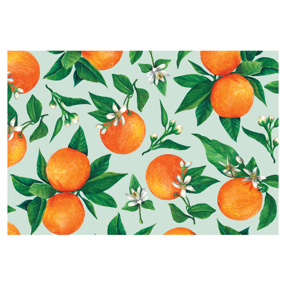 Hester & Cook Placemats Orange Orchard Set 24pce Peter's of Kensington