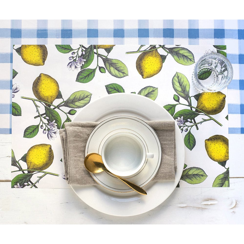 Hester & Cook Placemats Lemons Set 24pce Peter's of Kensington