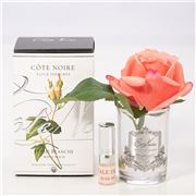 Cote Noire - Rose Bud White Peach Clear Glass w/Silver Crest