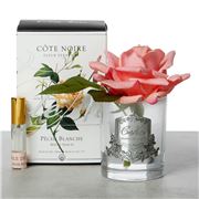 Cote Noire - Single French Rose White Peach w/Silver Crest