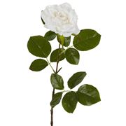 Florabelle - Eliza Soft Touch Rose White 47cm