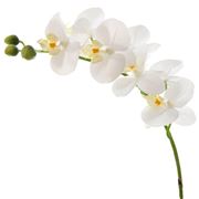 Florabelle - Real Touch Phalaenopsis Orchid Spray 73cm