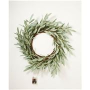 Papaya - Eucalyptus LED Wreath 60cm