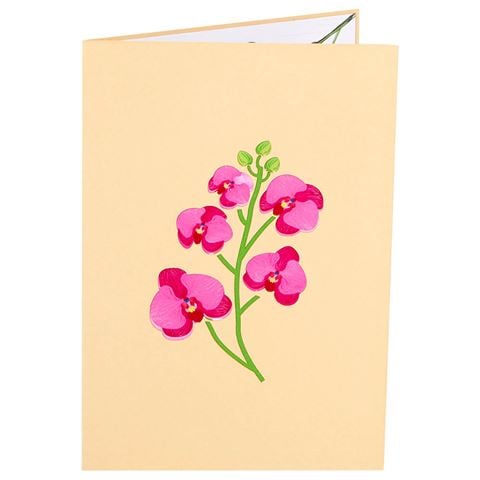 Colorpop - Orchid Vase Card Medium