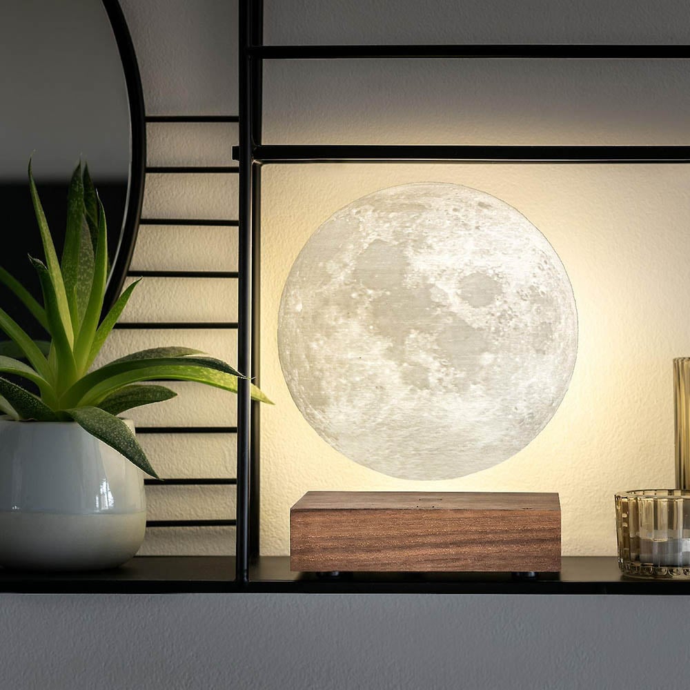 gingko design moon lamp