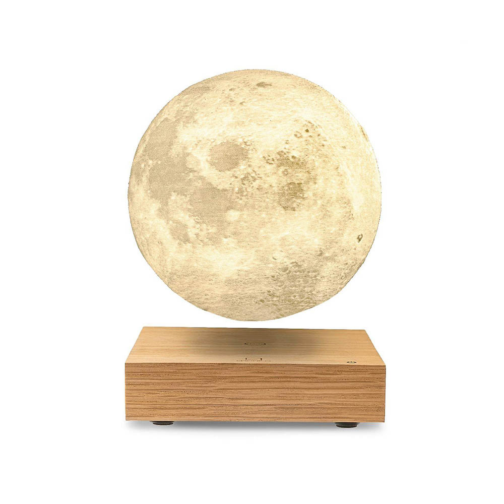 gingko design moon lamp