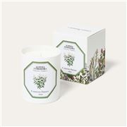 Carriere Freres - Verbena Candle 185g