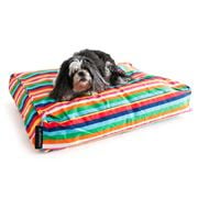 Bed, Bowl | Dog & Cat | Pet Products | Peter's of Kensington