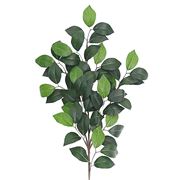 Florabelle - Camellia Leaf Spray Green