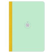 Flexbook - Ruled Smartbook Large Light Blue/Green