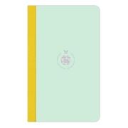 Flexbook - Ruled Smartbook Medium Light Blue/Green
