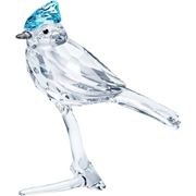 Swarovski - Blue Jay