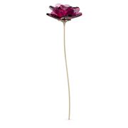 Swarovski - Garden Tales Single Rose