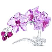 Swarovski - Crystal Flowers Orchid