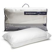 Sheridan - Ultralux Medium Pillow