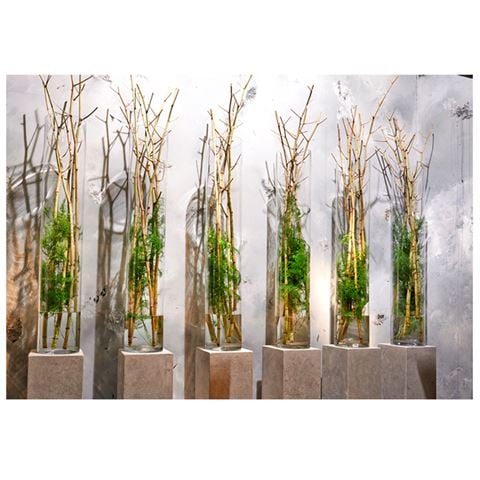 Sempre Silke Vase Clear - Peter's of Kensington